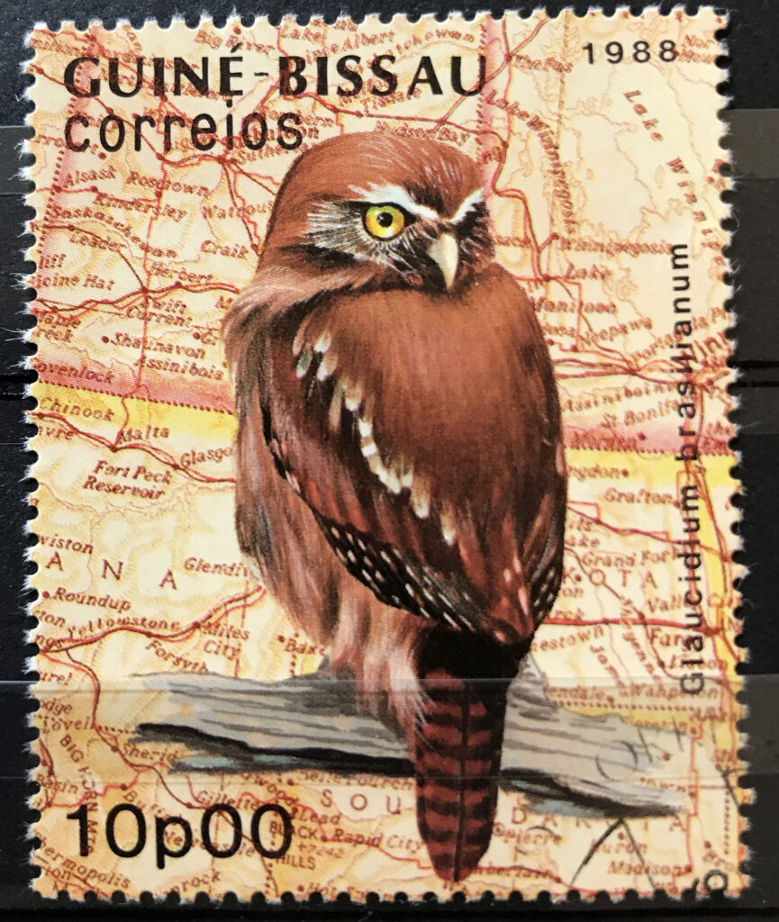 Guinea-Bissau Owl topical stamp